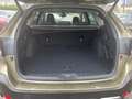 Subaru OUTBACK 2.5i Platinum Allrad Navi Leder Memory Sitze LED D zelena - thumbnail 11