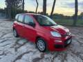 Fiat Panda 1.0 FireFly S&S Hybrid Easy Rot - thumbnail 3