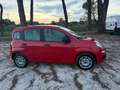 Fiat Panda 1.0 FireFly S&S Hybrid Easy Rot - thumbnail 4