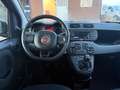 Fiat Panda 1.0 FireFly S&S Hybrid Easy Rot - thumbnail 12