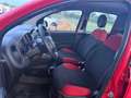 Fiat Panda 1.0 FireFly S&S Hybrid Easy Rot - thumbnail 10