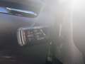 SEAT Alhambra FR DSG 4WD 7Sitze Allrad AHV ACC Abstandsradar Gris - thumbnail 11
