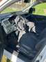 Volkswagen Caddy Kastenwagen 2,0 TDI 4MOTION Weiß - thumbnail 5