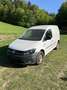 Volkswagen Caddy Kastenwagen 2,0 TDI 4MOTION Weiß - thumbnail 1