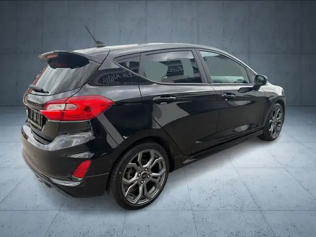Ford Fiesta view 14