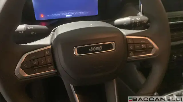 Jeep Compass view 13