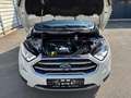 Ford EcoSport 1,0 EcoBoost Titanium Weiß - thumbnail 15