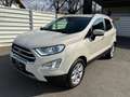 Ford EcoSport 1,0 EcoBoost Titanium Weiß - thumbnail 1