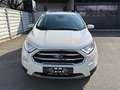 Ford EcoSport 1,0 EcoBoost Titanium Weiß - thumbnail 2