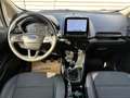 Ford EcoSport 1,0 EcoBoost Titanium Weiß - thumbnail 9