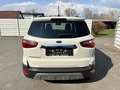 Ford EcoSport 1,0 EcoBoost Titanium Weiß - thumbnail 5