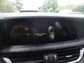 Alfa Romeo Stelvio 2.2 t Business auto euro 6 d-temp Grau - thumbnail 10
