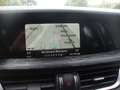 Alfa Romeo Stelvio 2.2 t Business auto euro 6 d-temp Grau - thumbnail 9