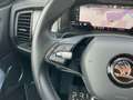 Skoda Kodiaq 2,0 TDI SCR Sportline DSG *ACC/LEDER/AHK/KAMERA Schwarz - thumbnail 20