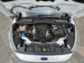 Ford C-Max Sport 2.Hand, 77tkm, Blanc - thumbnail 11