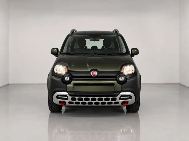 Fiat Panda view 2
