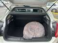 Fiat Bravo 1.6 mjt Emotion 105cv E5, NEOPATENTATI OK! Bianco - thumbnail 6