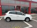 Fiat Bravo 1.6 mjt Emotion 105cv E5, NEOPATENTATI OK! Bianco - thumbnail 9