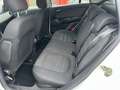 Fiat Bravo 1.6 mjt Emotion 105cv E5, NEOPATENTATI OK! Bianco - thumbnail 4