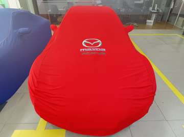 RX-8 231CV (ESTADO DE CONCURSO)