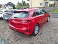 Kia Ceed / cee'd cee´d 1,5 T-GDI Vision SHZ/LHZ/NAVI/Kam/PDC Rot - thumbnail 3