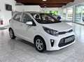 Kia Picanto Picanto III 2021 1.0 dpi Urban Techno Bianco - thumbnail 3