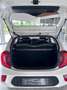 Kia Picanto Picanto III 2021 1.0 dpi Urban Techno Bianco - thumbnail 7