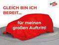 Volkswagen T-Roc Sport TDI SCR 4MOTION DSG Grau - thumbnail 34