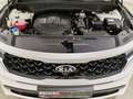 Kia Sorento 2.2 CRDi DCT Platinum 4WD BOSE|HuD|360°|LED|Leder Weiß - thumbnail 25