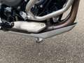 BMW F 900 GS Trophy Style / Akrapovic / Enduro- & Dynamiek Blauw - thumbnail 11