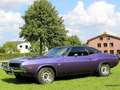 Dodge Challenger R/T Special Edition Violett - thumbnail 37