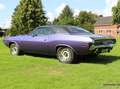 Dodge Challenger R/T Special Edition Violett - thumbnail 19