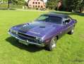 Dodge Challenger R/T Special Edition Violett - thumbnail 12