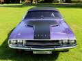 Dodge Challenger R/T Special Edition Violett - thumbnail 17