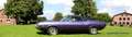 Dodge Challenger R/T Special Edition Violett - thumbnail 13