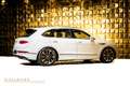 Bentley Bentayga HYBRID + PANORAMA + Weiß - thumbnail 13