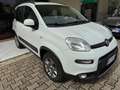 Fiat Panda Panda 1.3 mjt 16v 4x4 s Bianco - thumbnail 5