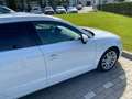 Audi A3 A3 Sportback 1.6 tdi Business 110cv Bianco - thumbnail 11