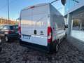 Fiat Ducato 33 2.2 Mjt 140CV L2H2 Furgone Wit - thumbnail 3