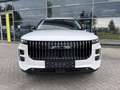 Jaecoo Sonstige 7 1.5 GDI SHS-P Exclusive 7 Jaar Garantie 150000 K Weiß - thumbnail 14