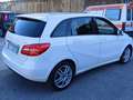 Mercedes-Benz B 200 Classe B - T242 ngd Premium Bianco - thumbnail 4