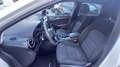 Mercedes-Benz B 200 Classe B - T242 ngd Premium Bianco - thumbnail 6