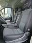 Fiat Ducato 150 2,3 Liter L1H1 Shuttle 9 Sitzer Professional Blau - thumbnail 15