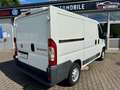 Fiat Ducato Hochr.-Kasten 28 120 L1H1 RS: 3000 mm Weiß - thumbnail 5