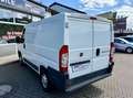 Fiat Ducato Hochr.-Kasten 28 120 L1H1 RS: 3000 mm Weiß - thumbnail 3