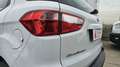 Ford EcoSport 1.0 EcoBoost Trend 100 Wit - thumbnail 27