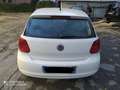 Volkswagen Polo Polo 5p 1.2 tdi Comfortline Blanco - thumbnail 4