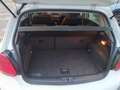 Volkswagen Polo Polo 5p 1.2 tdi Comfortline Blanco - thumbnail 13