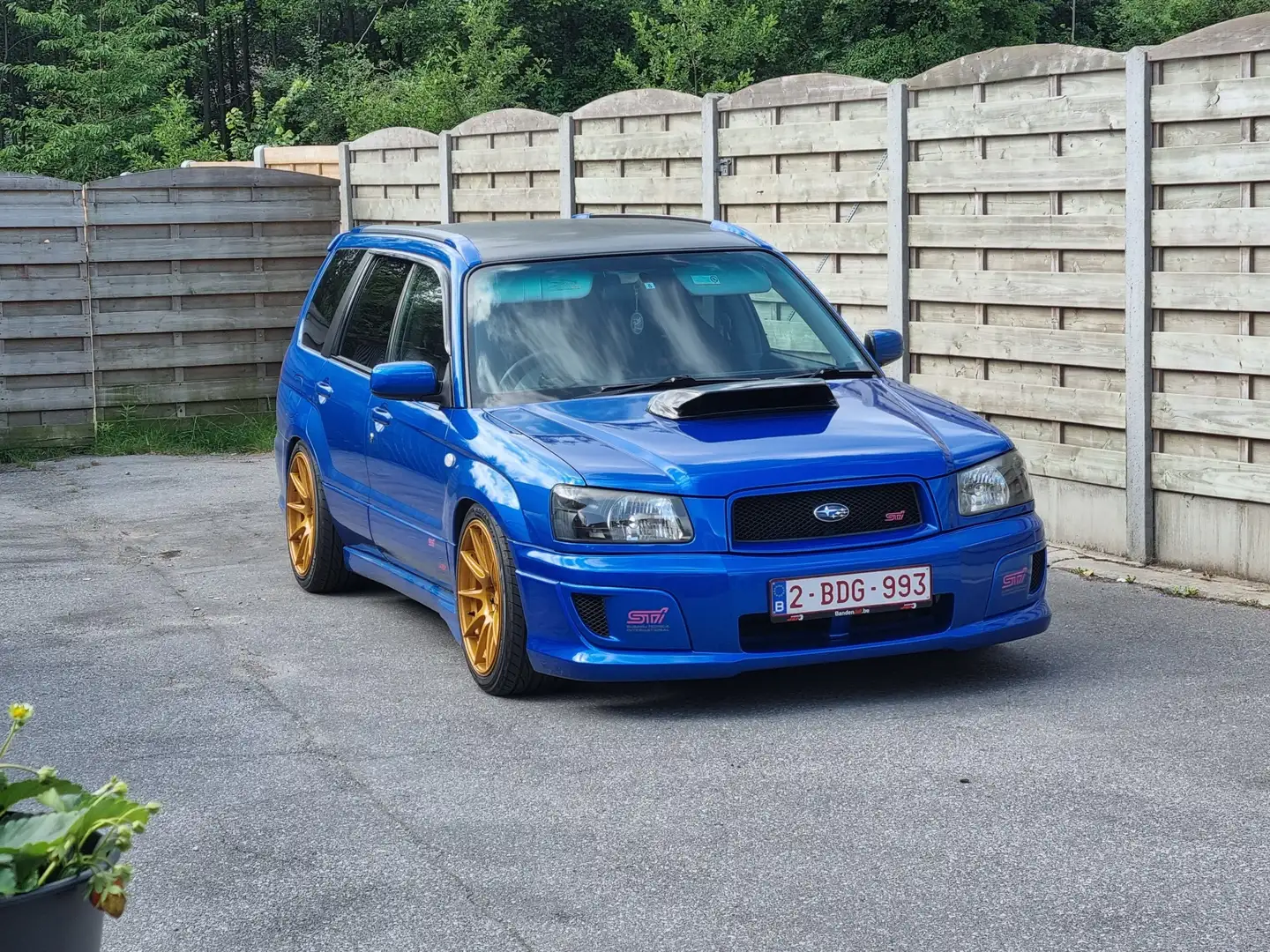 Subaru Forester 2.5 sti - 2