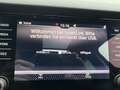 Skoda Kodiaq 2,0 TDI SCR Active DSG Schwarz - thumbnail 20